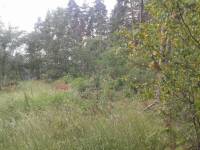 Pozemek o velikosti  2590 m2, Pačejov