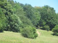 Pozemky, Lidečko